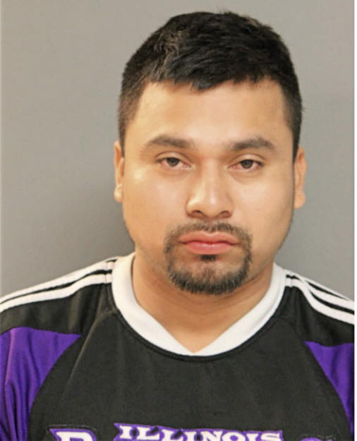 DAVID LEIVA-MEJIA, Cook County, Illinois