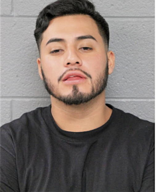 RICARDO MARTINEZ, Cook County, Illinois