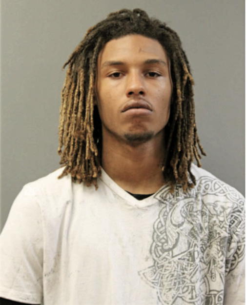 ELGIN T NEWSON, Cook County, Illinois