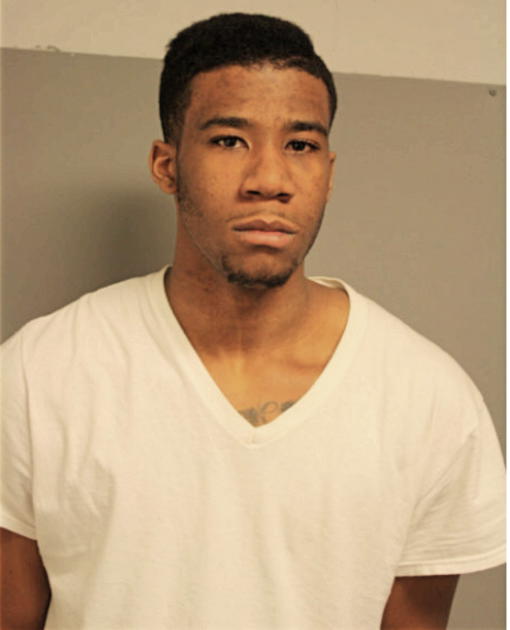 SAMUEL A OGUNLEYE, Cook County, Illinois