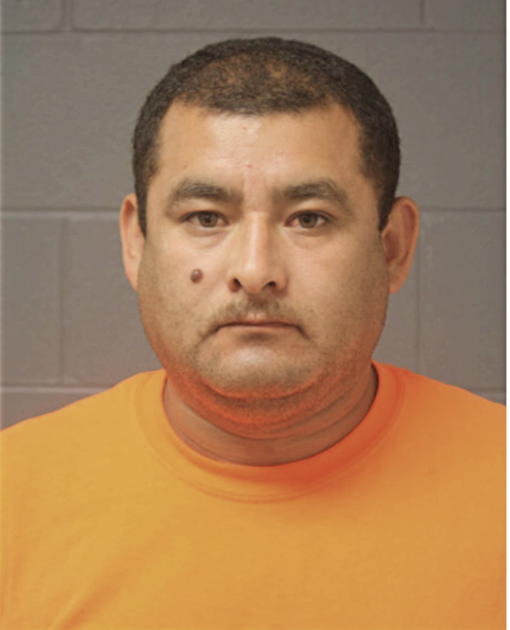 AGUSTIN PINA, Cook County, Illinois