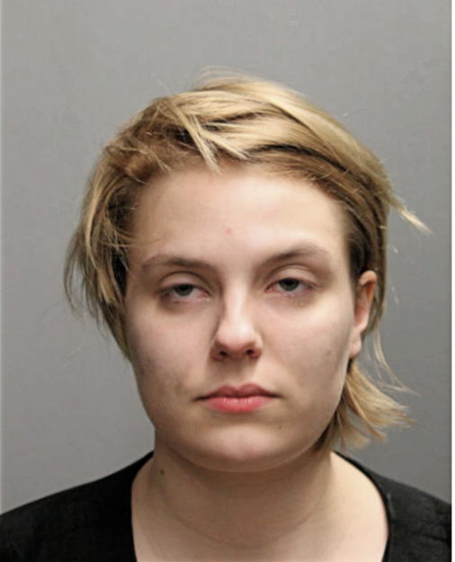 LYDIA S SHERMAN, Cook County, Illinois