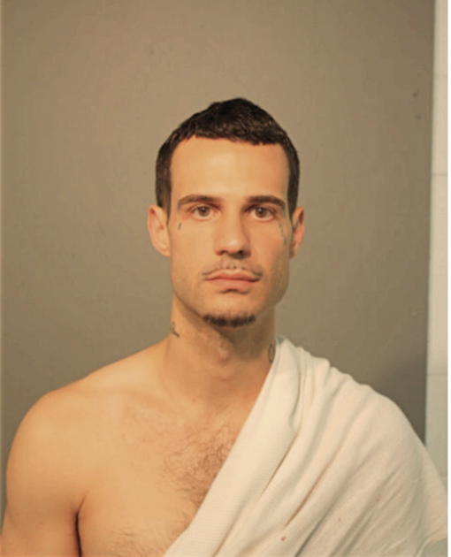 BRIAN T WALLACE, Cook County, Illinois