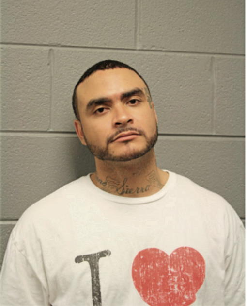 STEVEN LAMON WILSON, Cook County, Illinois