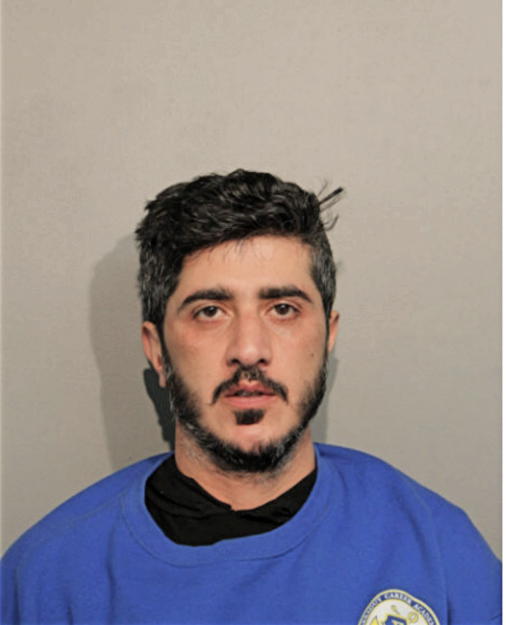 TEARY N YOUNAN, Cook County, Illinois