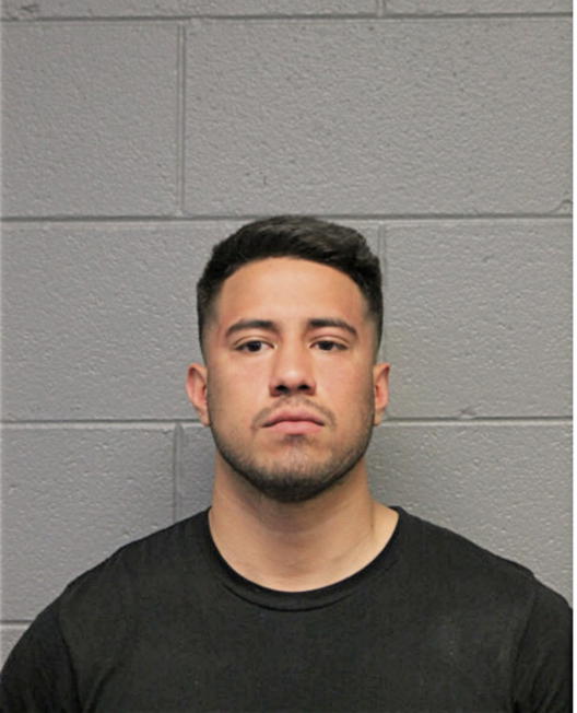 SAUL A ALVARADO, Cook County, Illinois