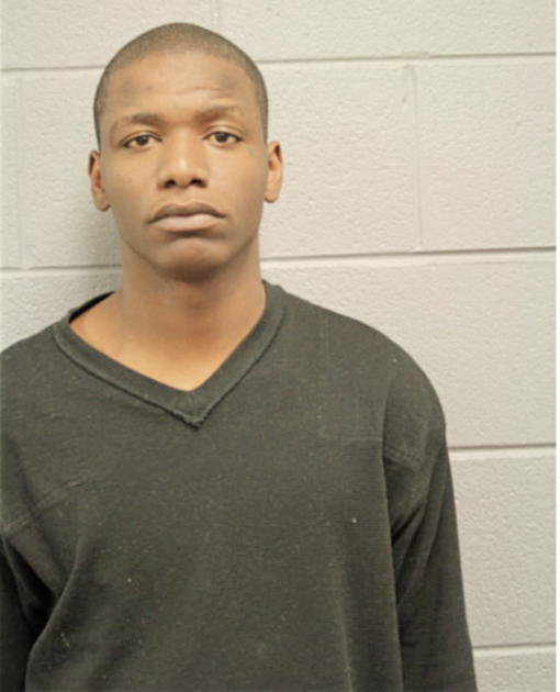 TERRANCE T ANDERSON, Cook County, Illinois