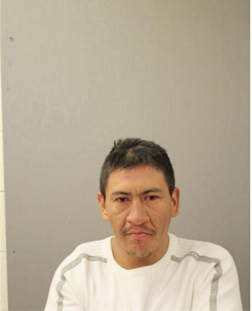 JOSE M CAJISACA TAZA, Cook County, Illinois