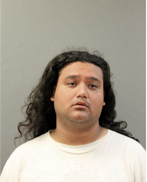 JAVIER DELGADO, Cook County, Illinois