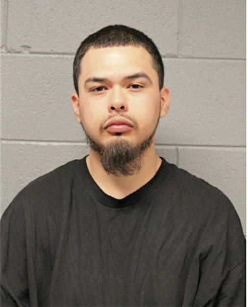 DANIEL A DIAZ, Cook County, Illinois