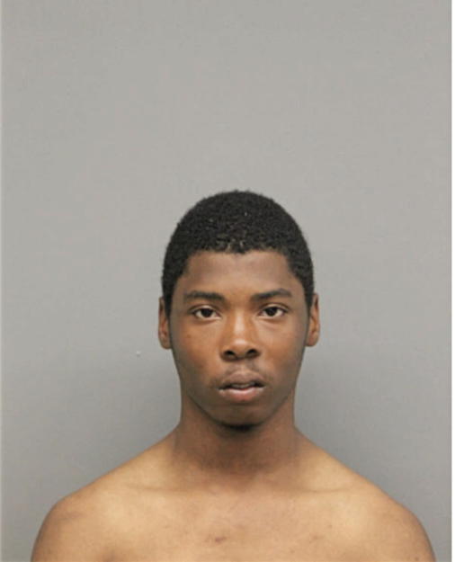 RAMON E DOBINE, Cook County, Illinois