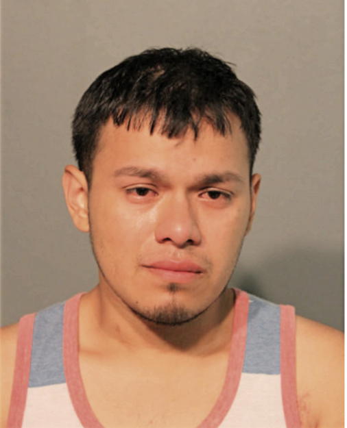 JOSE M DOMINGUEZ, Cook County, Illinois