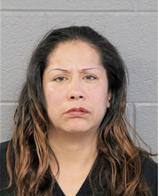 SANDRA ESCARCEGA, Cook County, Illinois