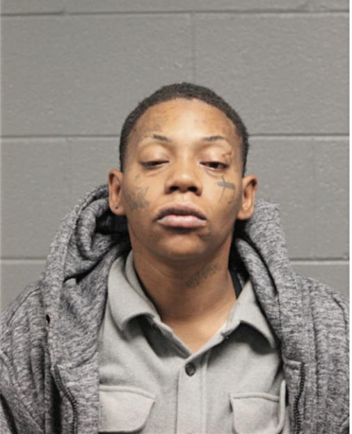 SAMINA L HOLLY, Cook County, Illinois