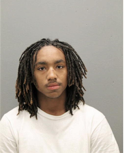 JOSHUA R JENKINS, Cook County, Illinois
