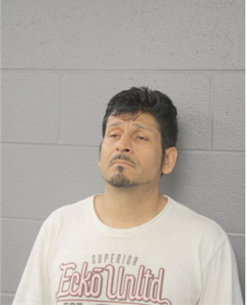 RICHARD A NUNEZ, Cook County, Illinois
