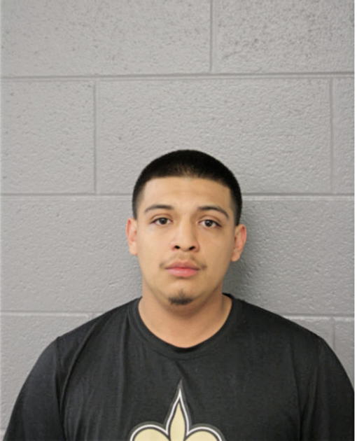 ERNESTO B OVIEDO, Cook County, Illinois