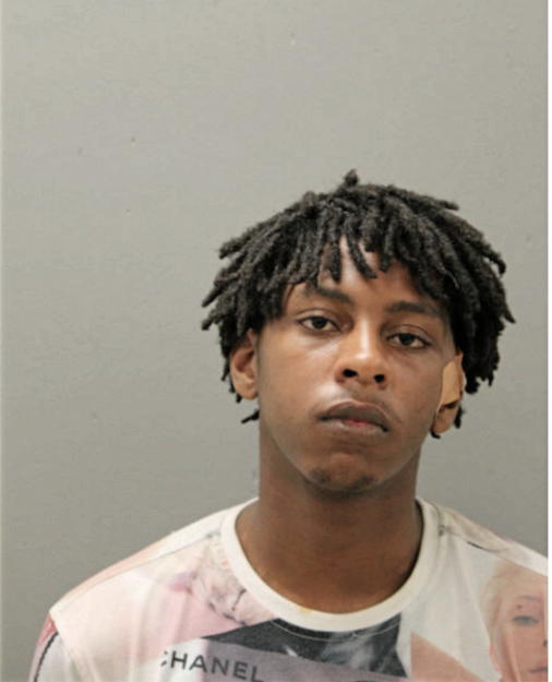 DAVID J OWENS, Cook County, Illinois