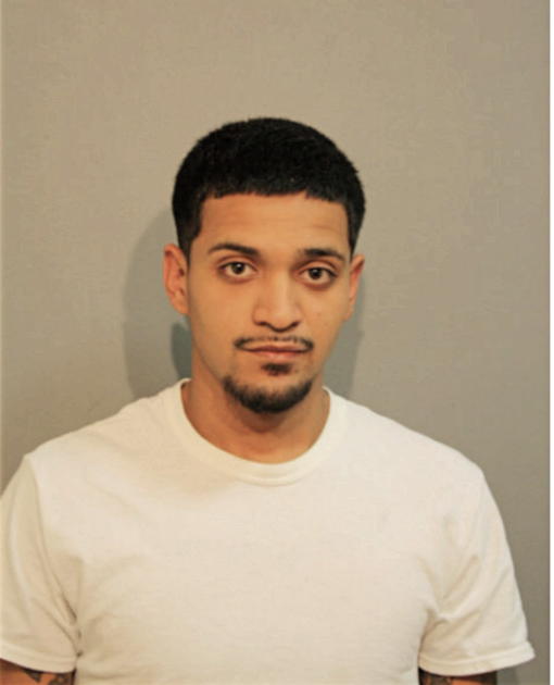 ENRIQUE J ROJAS, Cook County, Illinois