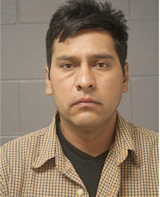 ALEJANDRO V SANCHEZ, Cook County, Illinois