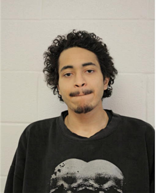JOSHUA P SOTO, Cook County, Illinois
