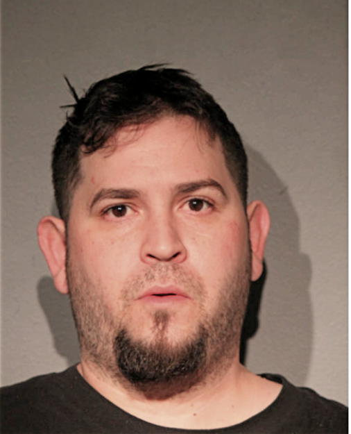 LUIS G TORRES, Cook County, Illinois