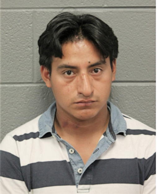 LUIS EDUARDO VILLAINGA, Cook County, Illinois