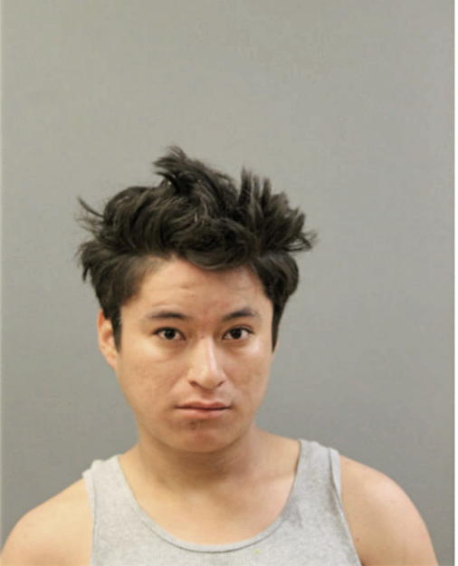MIGUEL VIVEROS, Cook County, Illinois