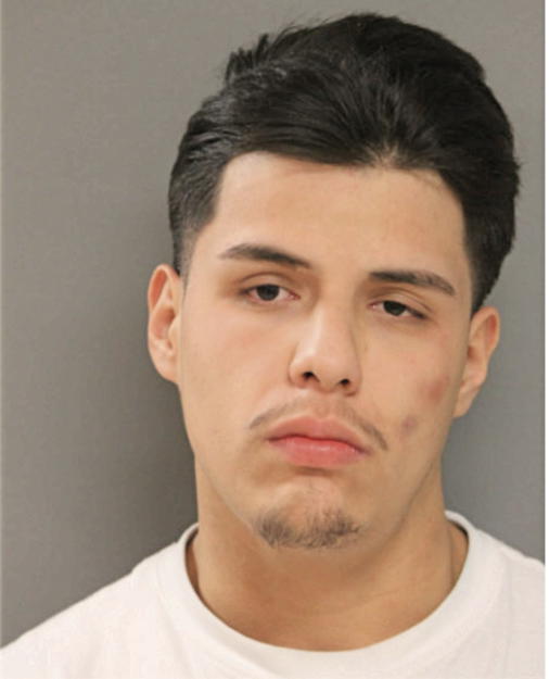 IVAN A DAVILA, Cook County, Illinois