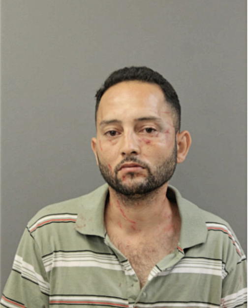 CARLOS J GONZALEZ, Cook County, Illinois