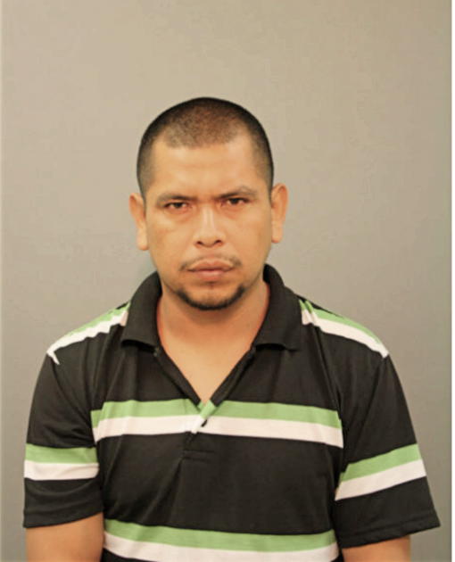 VICENTE GUADARRAMA, Cook County, Illinois