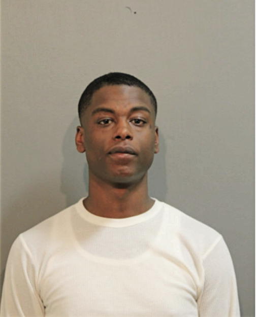 CHRISTOPHER D HIBBLER, Cook County, Illinois
