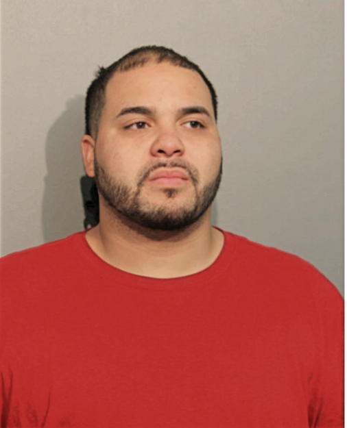 LUIS IRIZARRY, Cook County, Illinois