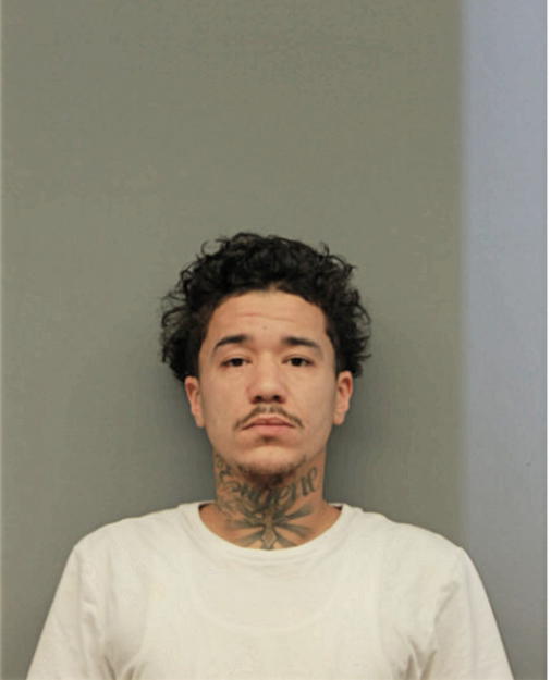 NOAH Z JACKSON, Cook County, Illinois