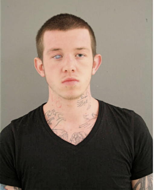 ANTHONY J LANZ, Cook County, Illinois