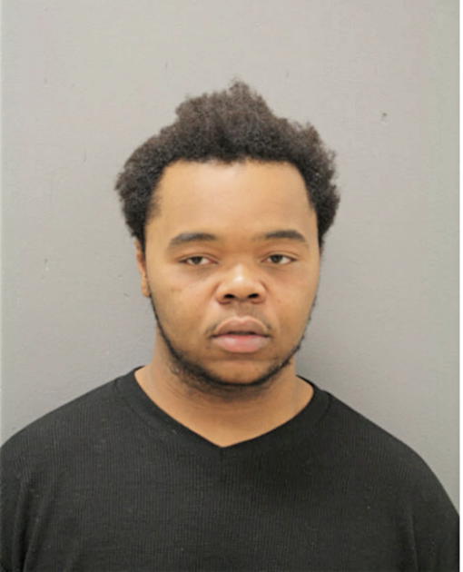 DERRICK L LIGHTSY, Cook County, Illinois