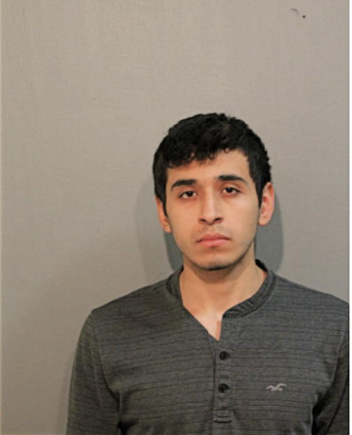LUIS F MARTINEZ, Cook County, Illinois