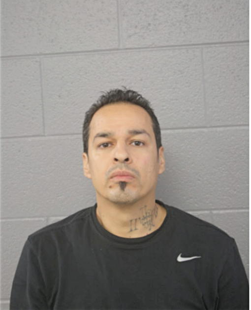 MICHAEL M MARTINEZ, Cook County, Illinois