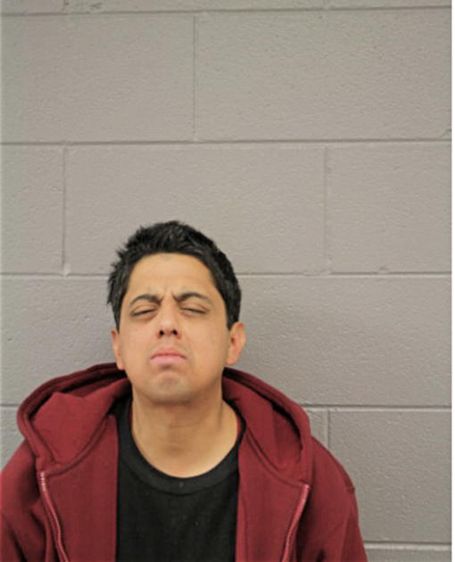 JOSEPH S ORTEGA, Cook County, Illinois