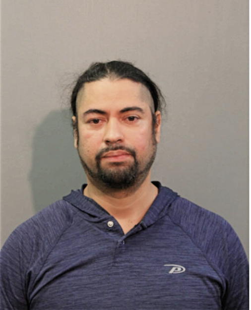 DAVID A RAMIREZ, Cook County, Illinois