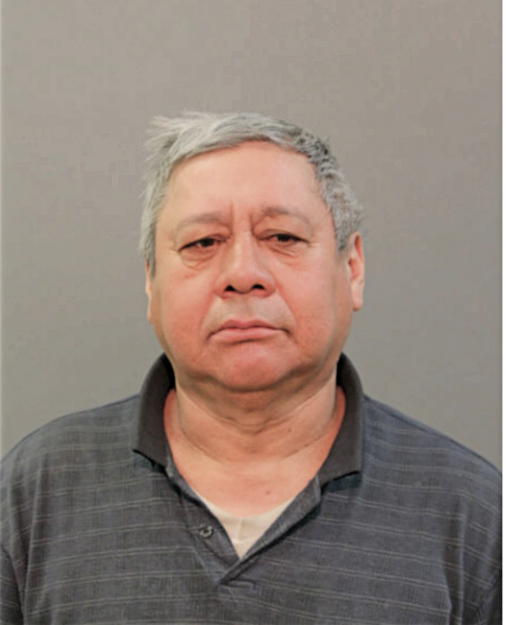 REY MAYARES SOBERANIS, Cook County, Illinois