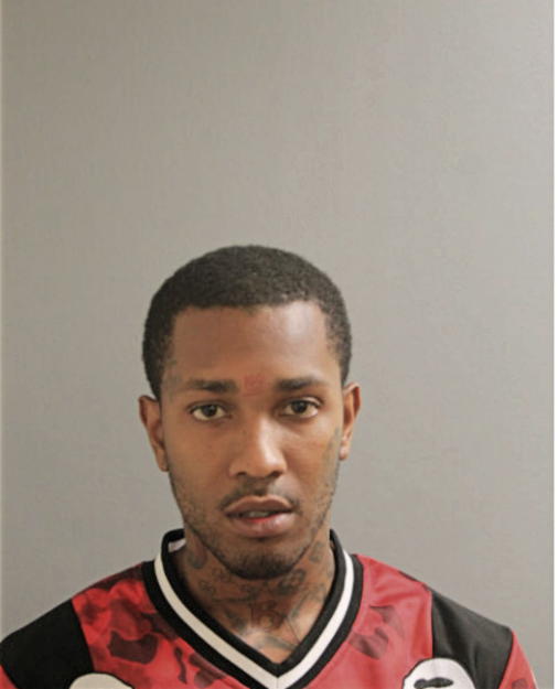 ROGER R TANNER, Cook County, Illinois