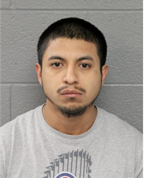 JOHNNY CARLOS TERRONES, Cook County, Illinois