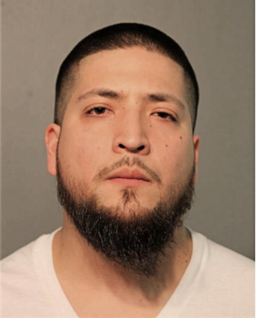 JESUS VIGUERAS, Cook County, Illinois