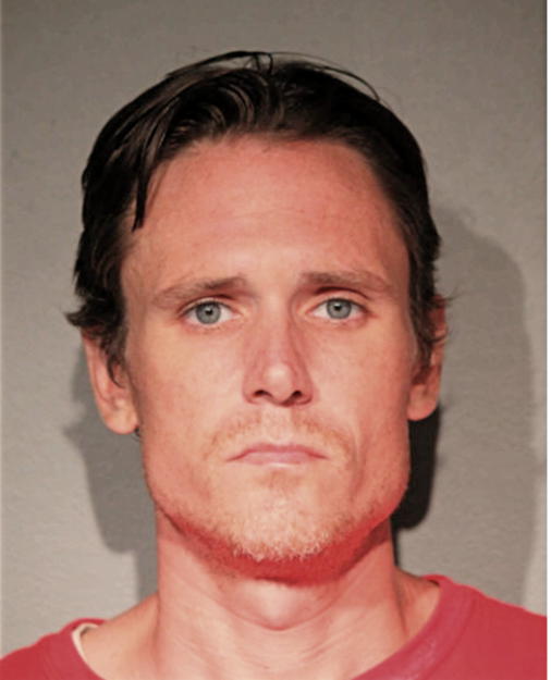 PATRICK L WEBER, Cook County, Illinois