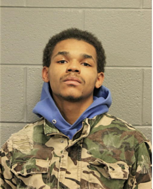 JLYN WIGGINS, Cook County, Illinois