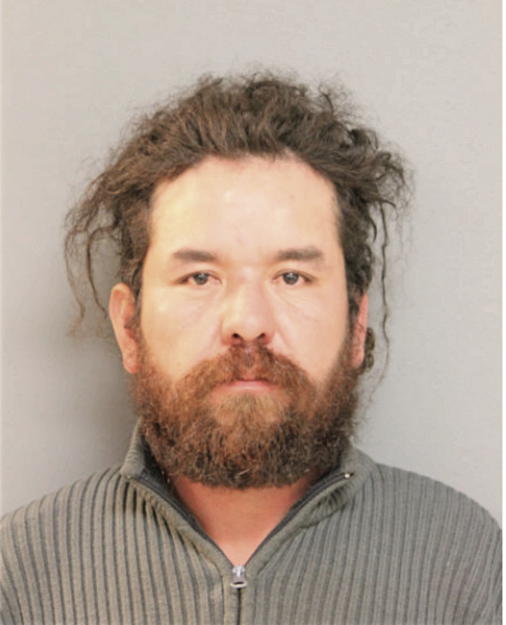 ENRIQUE ALANIS-GUZMAN, Cook County, Illinois