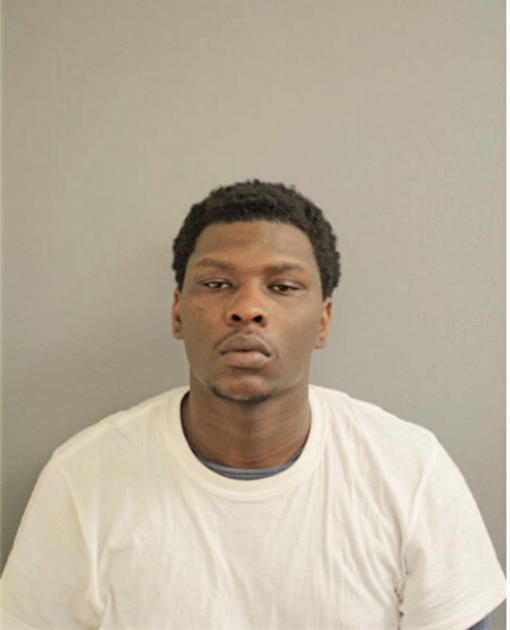 DAVID J ALLEN, Cook County, Illinois