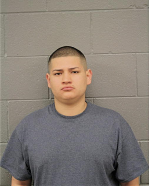 FRANCISCO J ALVARES, Cook County, Illinois