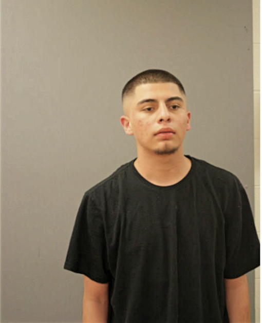 PEDRO ARENAS, Cook County, Illinois